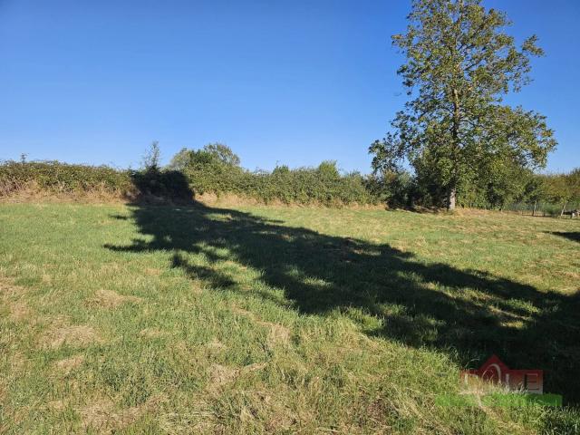 Terrain vente à Vienne, Jardin