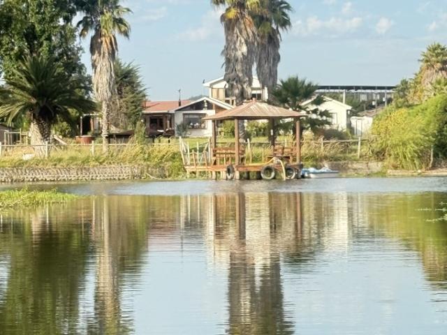 JARDÍN DEL LAGO
