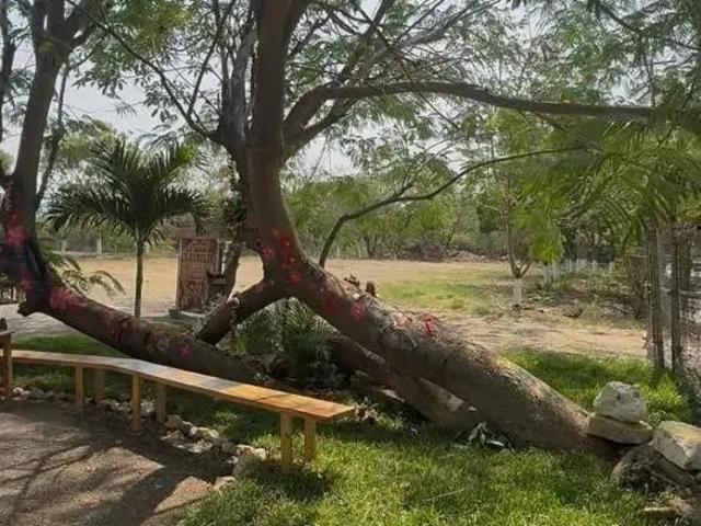 Local Comercial en renta en Tuxtla Gutiérrez, Chiapas