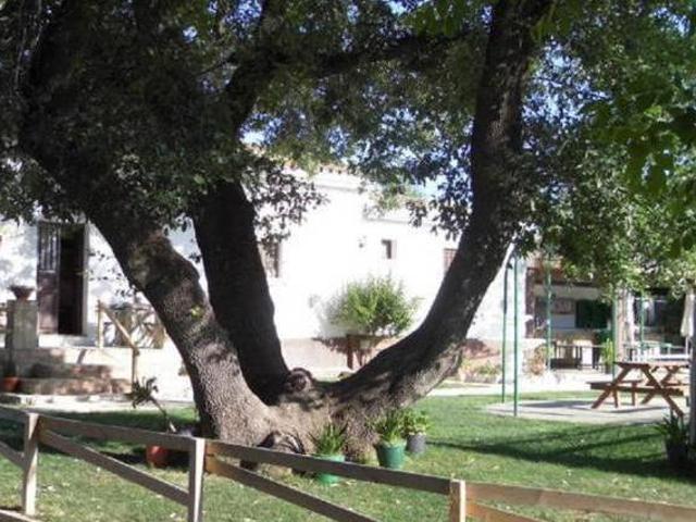 Casa en alquiler en Sierra de Cádiz, Andalucía