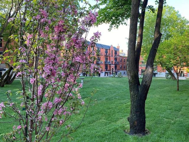 Apartment for rent in St. Leonard's, Quebec