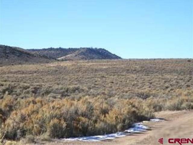 Land for sale in Conejos, Colorado