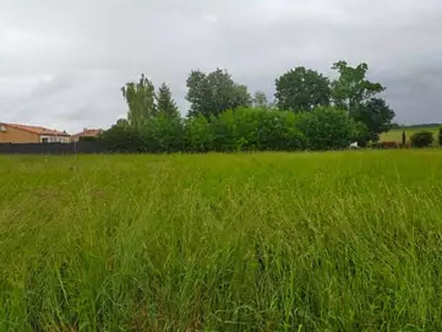 Terrain vente à Jarnac