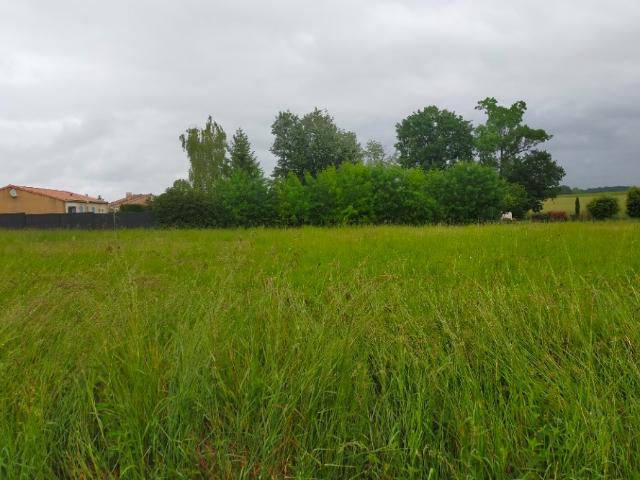 Terrain vente à Jarnac
