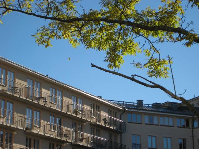 Lägenhet hyra i Linköping, Östergötland