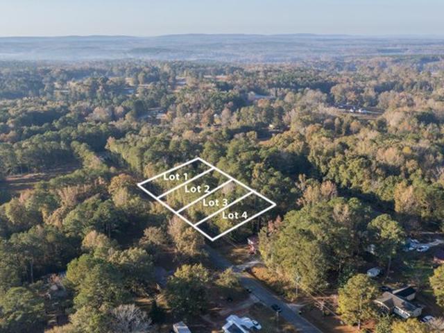 Land for sale in Shiloh, Georgia