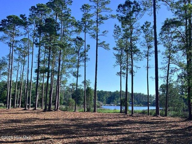 Land for sale in Aurora, North Carolina