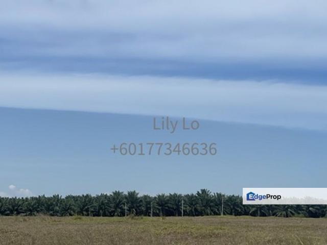 Warehouse for sale in Malaka