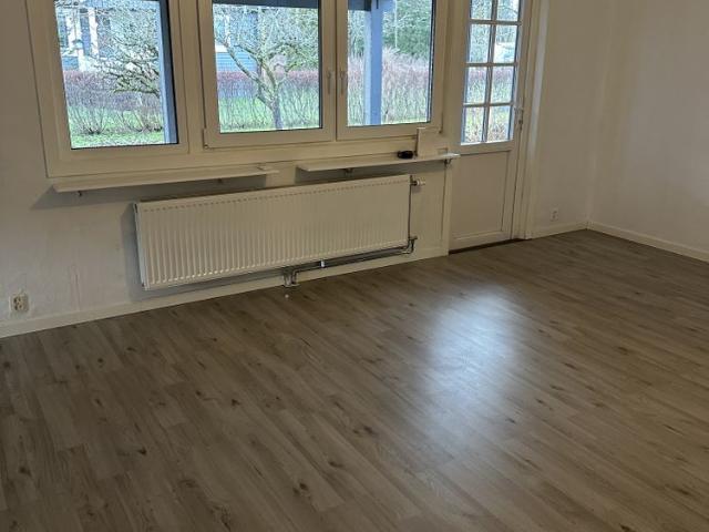 Hus hyra i Mjönäs, Värmland