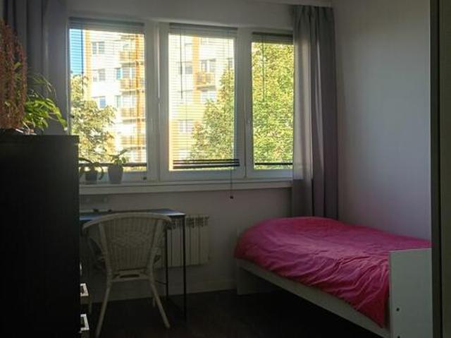 Pokój do wynajęcia w Toruń, Kujawsko-pomorskie