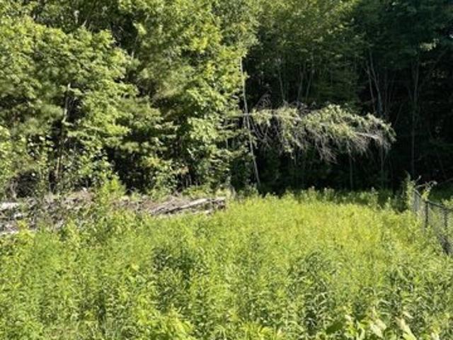Land for sale in Belchertown, Massachusetts