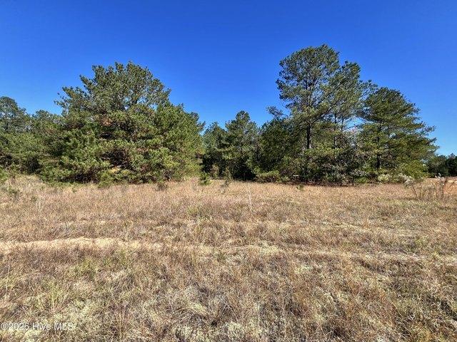 Land for sale in Avera, Jefferson County