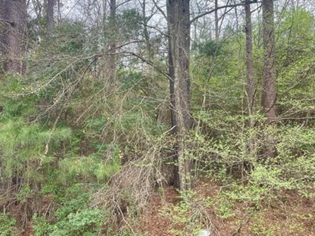 Land for sale in Texas
