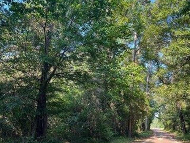 Land for sale in Jasper