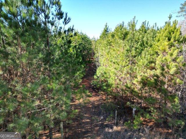 Land for sale in Elbert, Georgia