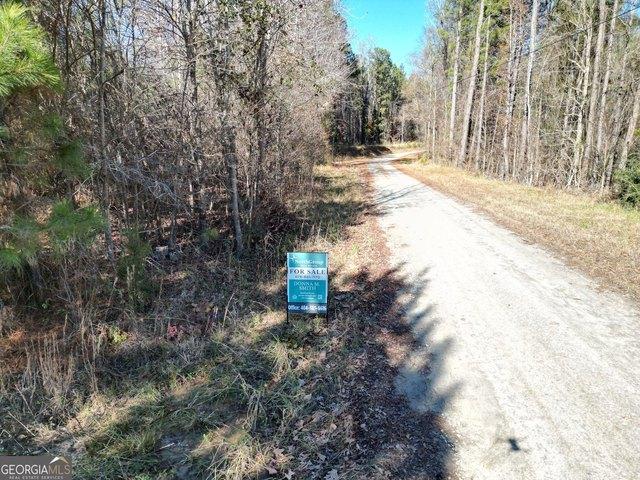 Land for sale in Elbert, Georgia