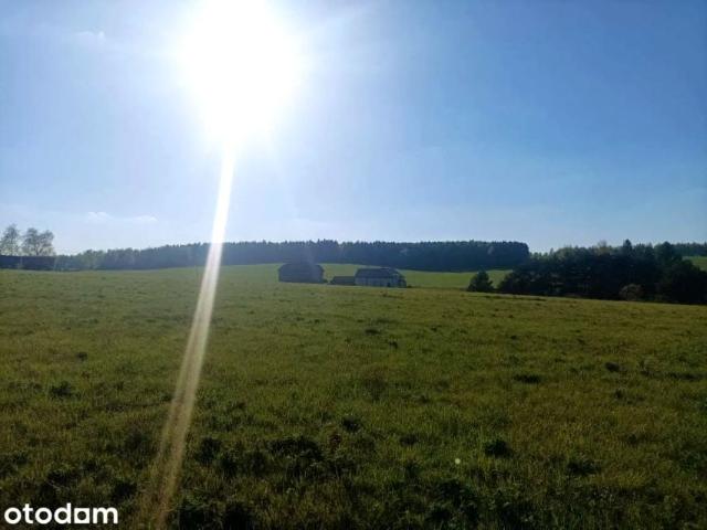 Grunt na sprzedaż w Jaworzno, Śląskie