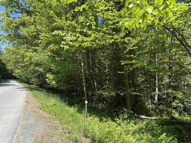 Land for sale in Plantsville, Vermont
