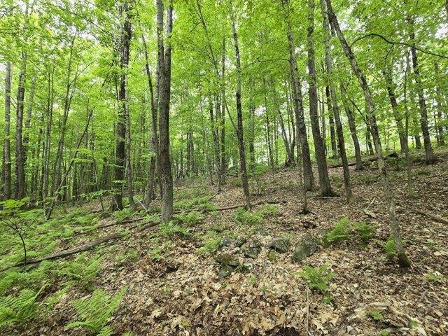 Land for sale in Jay, Maine