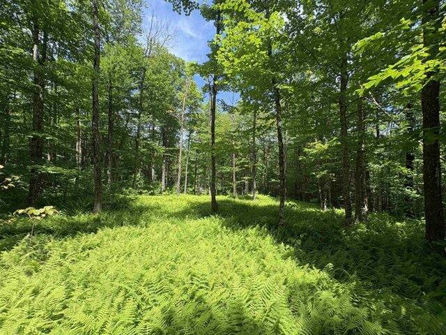 Land for sale in Vermont