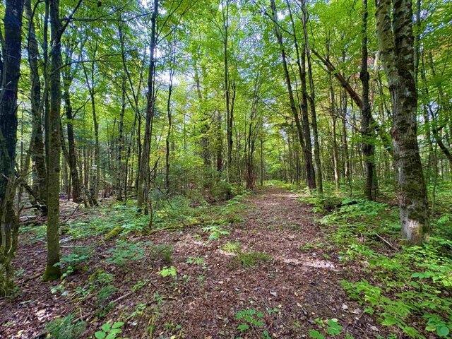 Land for sale in Jay, Orleans County