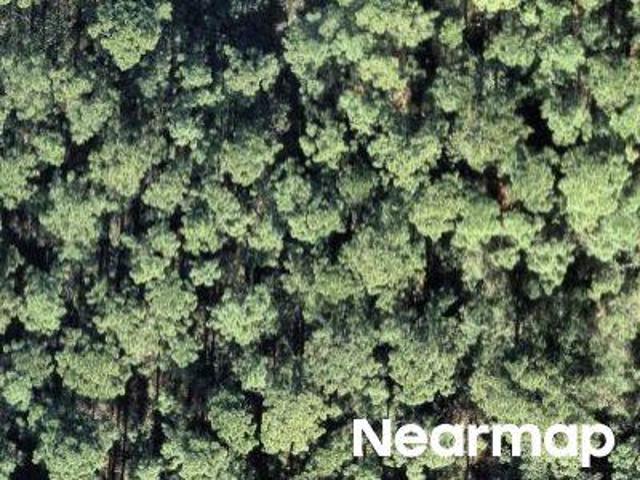 Land for sale in Lake Placid, Florida