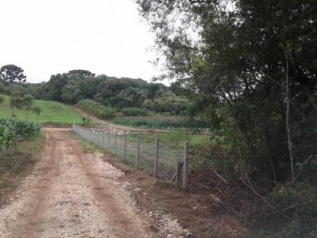 Terreno venda em Região Geográfica Imediata de Curitiba, Região Metropolitana de Curitiba