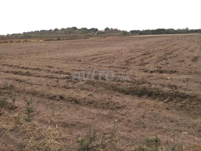 Propriété vente à El Ma, Gharb-Chrarda-Beni Hssen