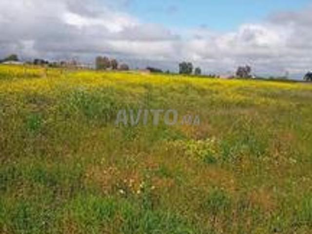 Propriété vente à Slimane, Gharb-Chrarda-Beni Hssen