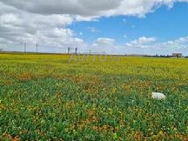 Propriété vente à Slimane, Gharb-Chrarda-Beni Hssen