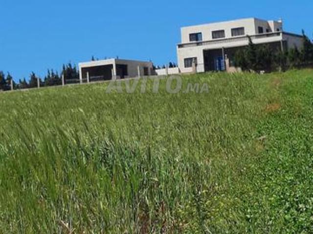 Propriété vente à El Ma, Gharb-Chrarda-Beni Hssen