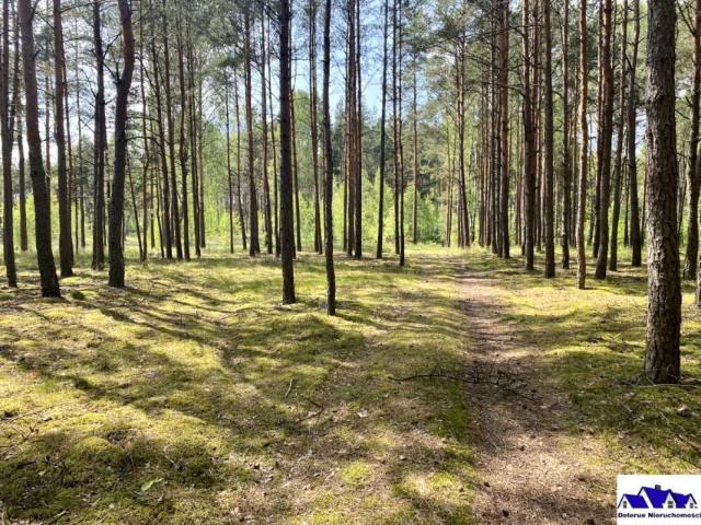 Grunt na sprzedaż w Czersk, Pomorskie