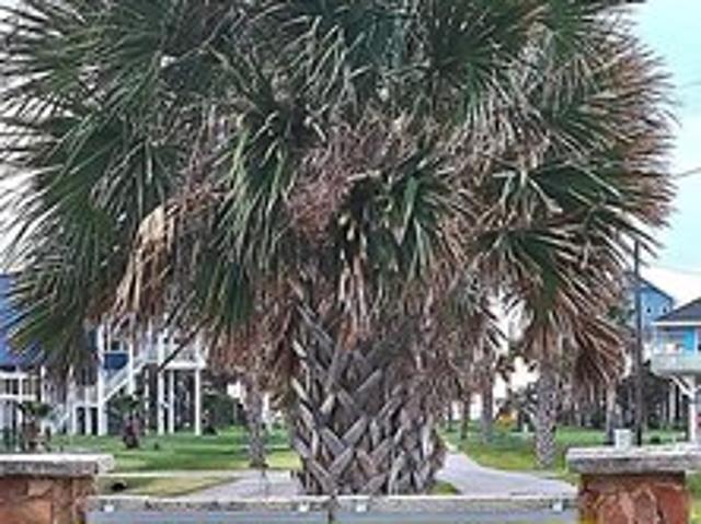 Land for sale in Freeport, Texas