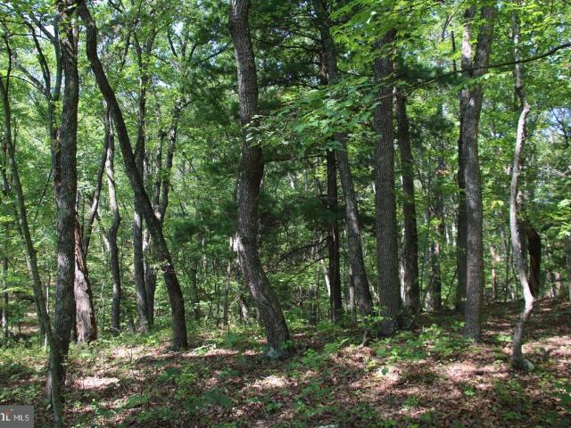 Land for sale in Gore, Frederick County