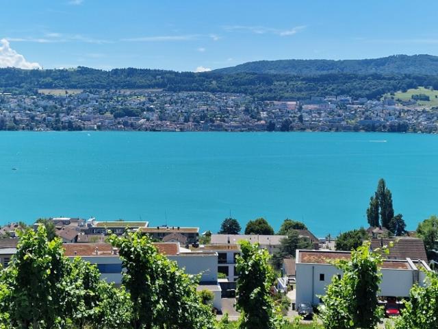 Einfamilienhaus kaufen in Meilen, Zürich