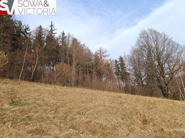 Grunt na sprzedaż w Jedlina-zdrój, Dolnośląskie