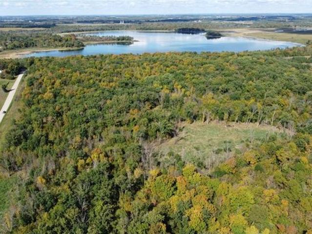 Land for sale in Richville, Minnesota