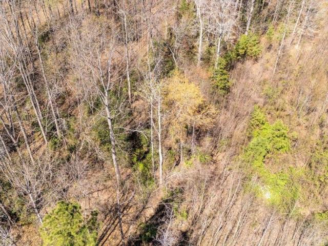 Land for sale in Virginia