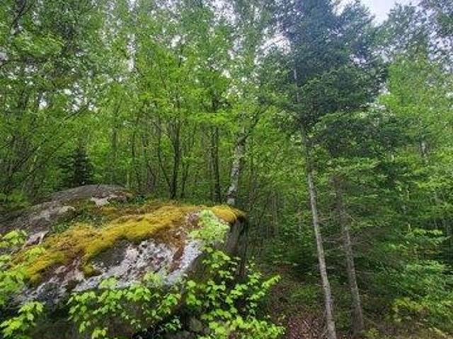 Land for sale in New Hampshire