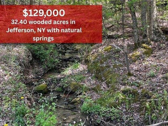 Land for sale in Jefferson, New York