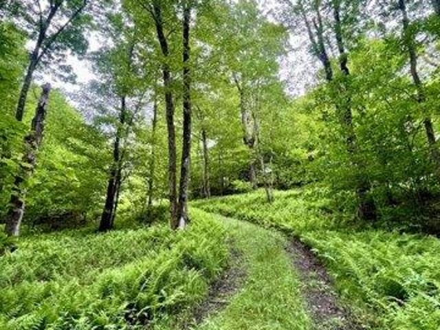 Land for sale in Jefferson Land for sale in Jefferson