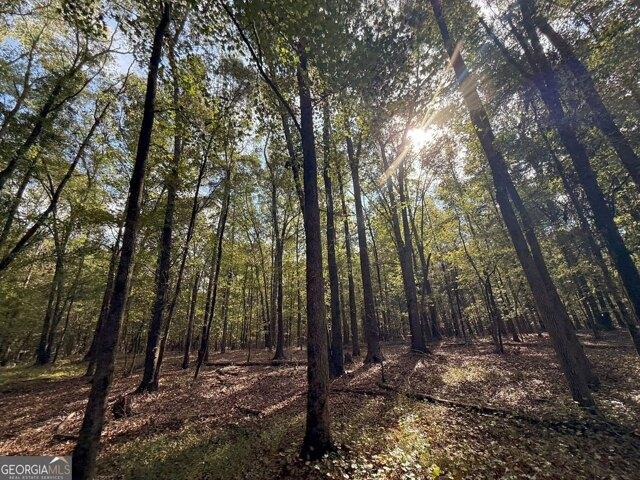Land for sale in Athens, Georgia