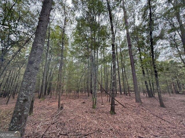 Land for sale in Athens, Georgia