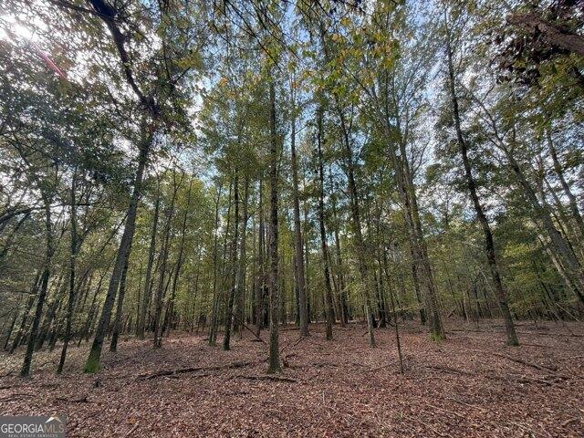 Land for sale in Athens, Georgia
