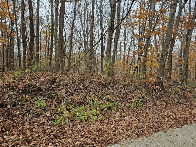 Land for sale in Coloma