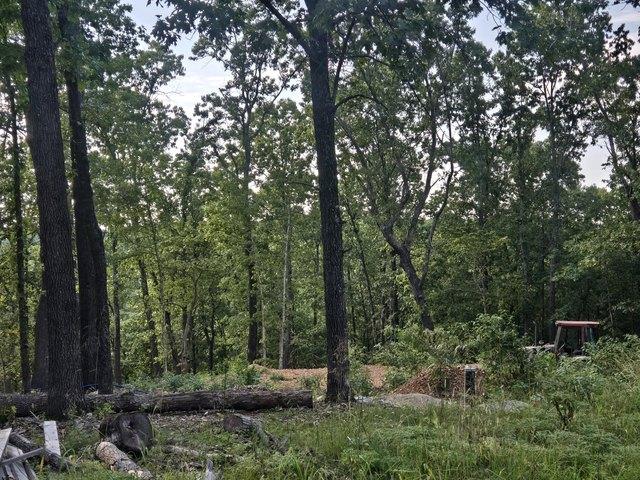 Land for sale in Stone, Missouri