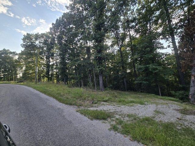 Land for sale in Stone, Missouri