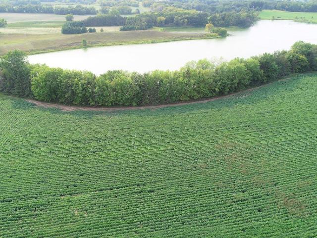 Land for sale in Hugo, Minnesota