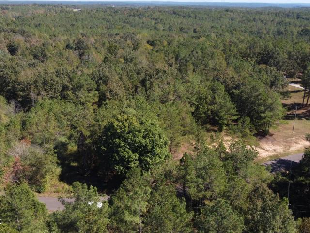 Land for sale in Potts Camp, Marshall County