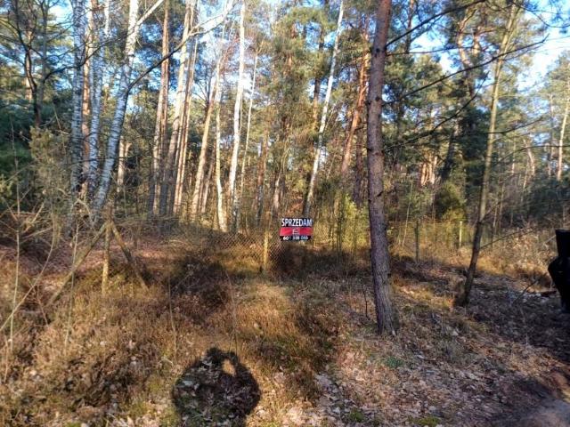 Grunt na sprzedaż w Wilga, Mazowieckie